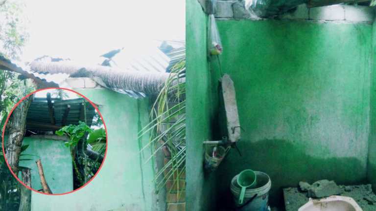 Angin Kencang, Pohon Kelapa Tumbang Robohkan Satu Rumah Warga Duhiadaa