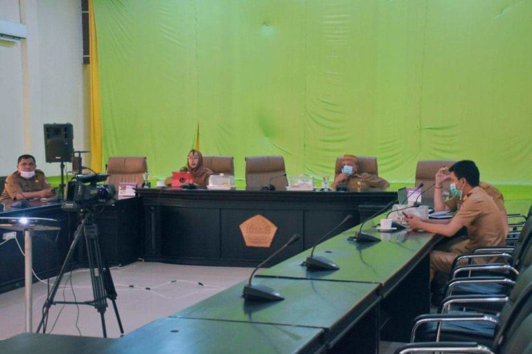 Wabup Amin Haras Ikuti Rapat Dekonsentrasi Tugas Perbantuan, Ini Penyampaiannya