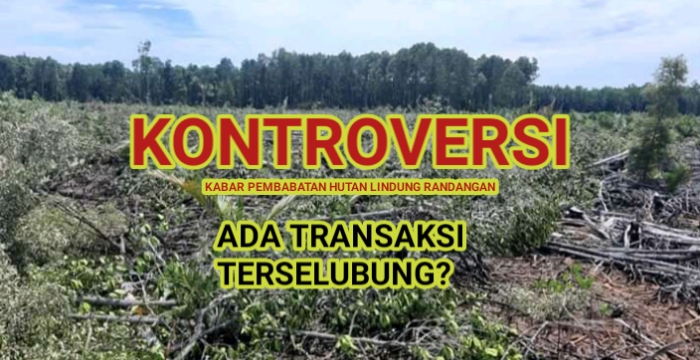Kabar Pembabatan Hutan Lindung di Randangan Tuai Kontroversi, Ada Transaksi Terselubung?
