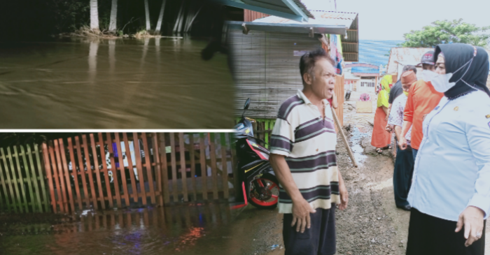 KPH Ungkap Satu Faktor Sebabkan Banjir di Popayato, Pembabakan Hutan Secara Liar