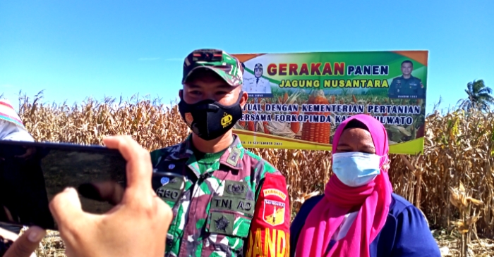 Kodim 1313/Pohuwato Manfaatkan Lahan Kosong Jadi Deplot Pertanian Jagung