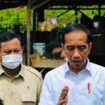 Bicara Soal Mafia Minyak Goreng, Presiden Jokowi Katakan Ini