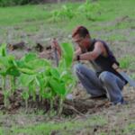 Kembali Bertani, Yusuf Mbuinga Dukung Ketahanan Pangan di Pohuwato