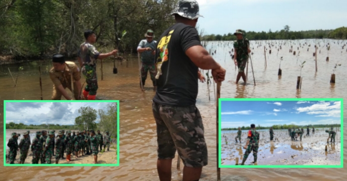 Kodim 1313/Pohuwato Gelar Penanaman Mangrove di Kawasan Hutan Lindung