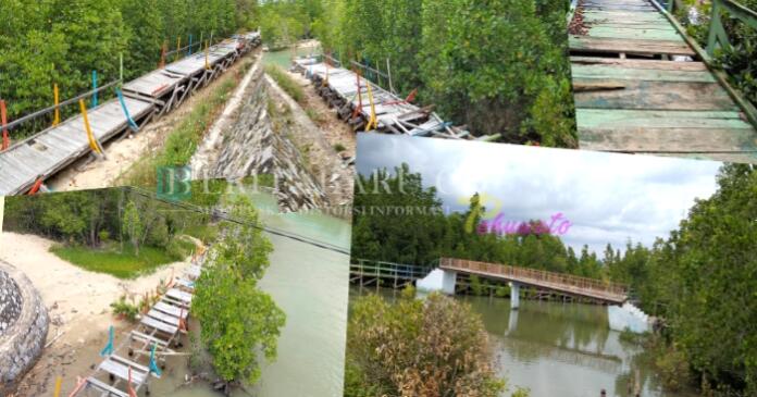 Tampak Trecking Wisata Mangrove Pohuwato sudah rusak dan tak terawat lagi. (Foto : San)