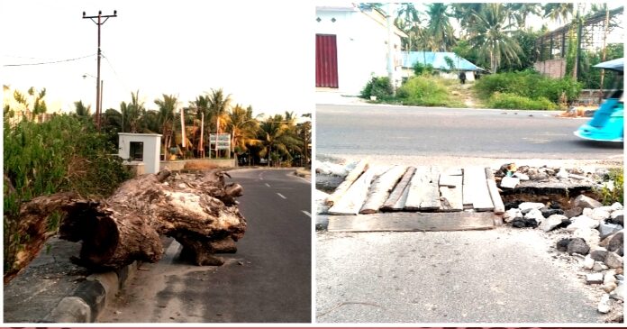Batang Pohon Besar Dipinggir Jalan dan Jembatan Darurat Luput dari Perhatian