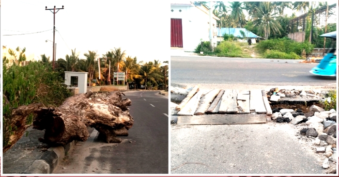 Batang Pohon Besar Dipinggir Jalan dan Jembatan Darurat Luput dari Perhatian